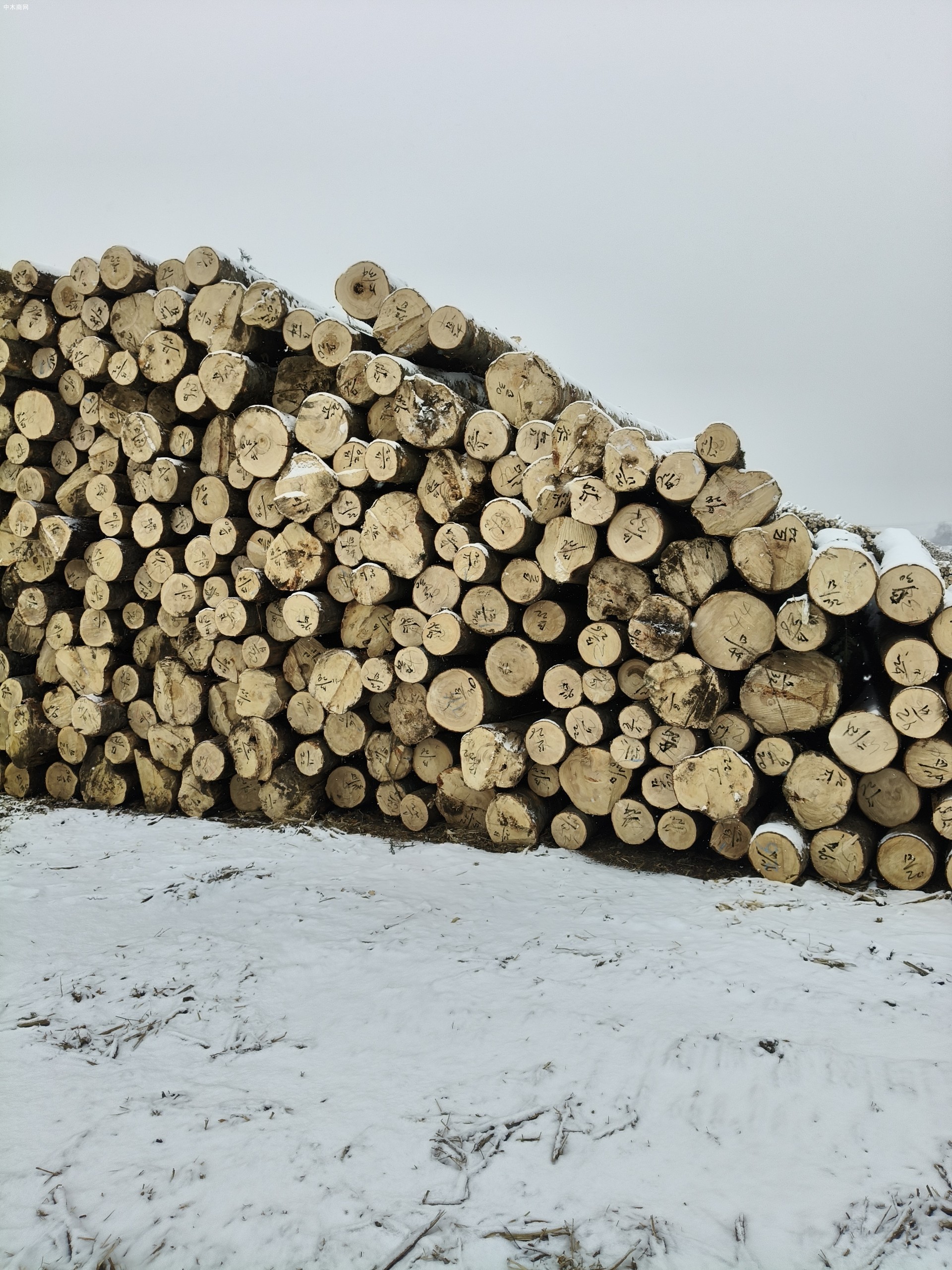  定制东北桦木工程板,包装箱,托盘料生产厂家供应商