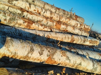 定制东北桦木工程板,包装箱,托盘料生产厂家