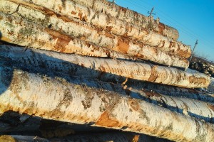 定制东北桦木工程板,包装箱,托盘料生产厂家 定制东北桦木工程板,包装箱,托盘料生产厂家