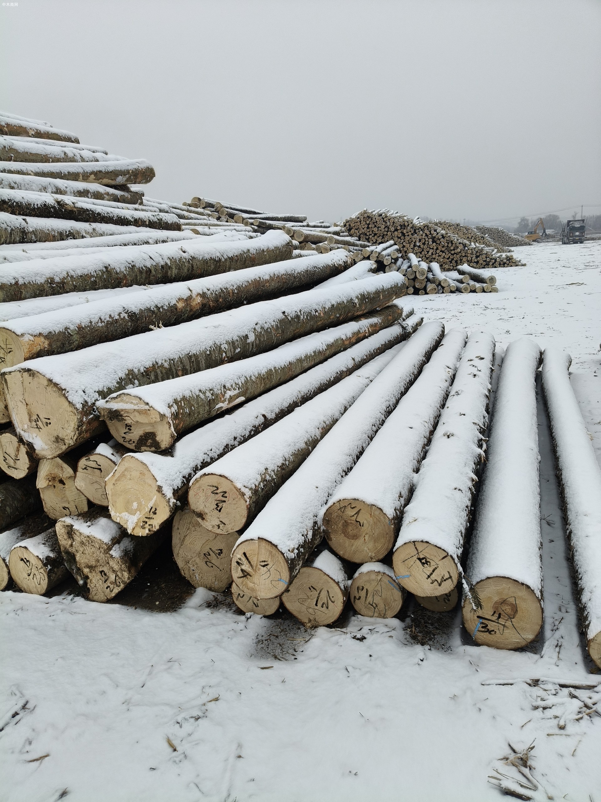 定制东北樟子松工程板,包装箱,托盘料生产厂家品牌