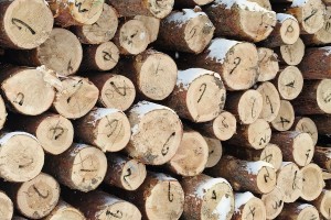 定制东北樟子松工程板,包装箱,托盘料生产厂家 定制东北樟子松工程板,包装箱,托盘料生产厂家