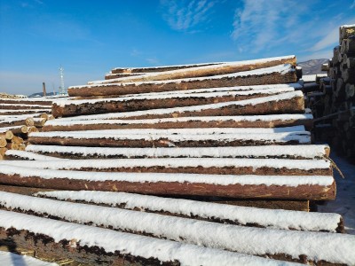 定制东北樟子松工程板,包装箱,托盘料生产厂家图2