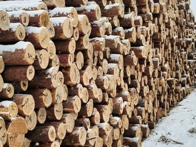 定制东北樟子松工程板,包装箱,托盘料生产厂家图5