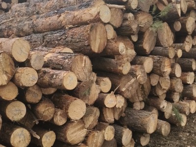 定制东北樟子松工程板,包装箱,托盘料生产厂家图6