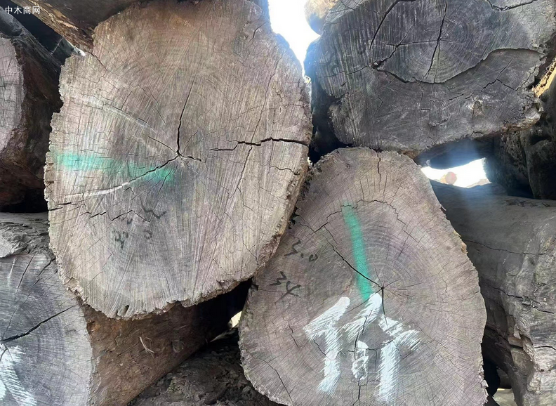 北美黑胡桃价格行情分析报告