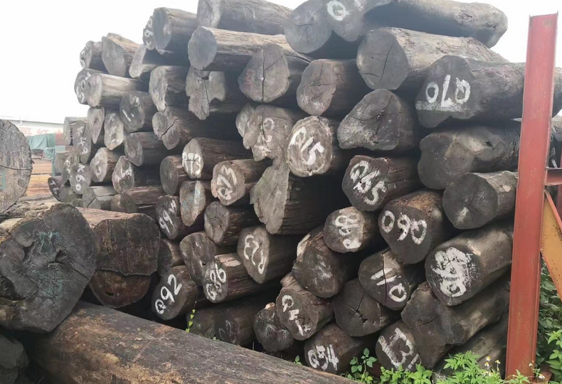 巴西柚木价格行情最新消息 巴西柚木价格行情最新消息