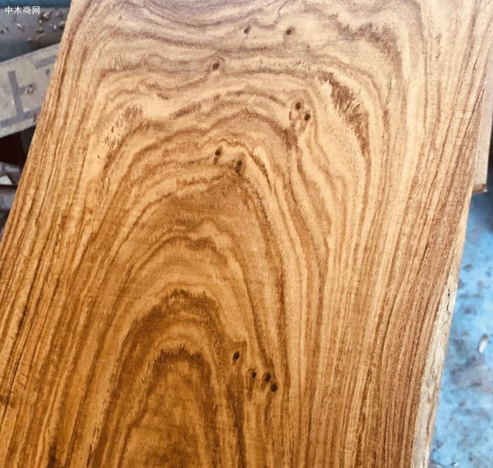 中国商人在越南重金收购这种木材