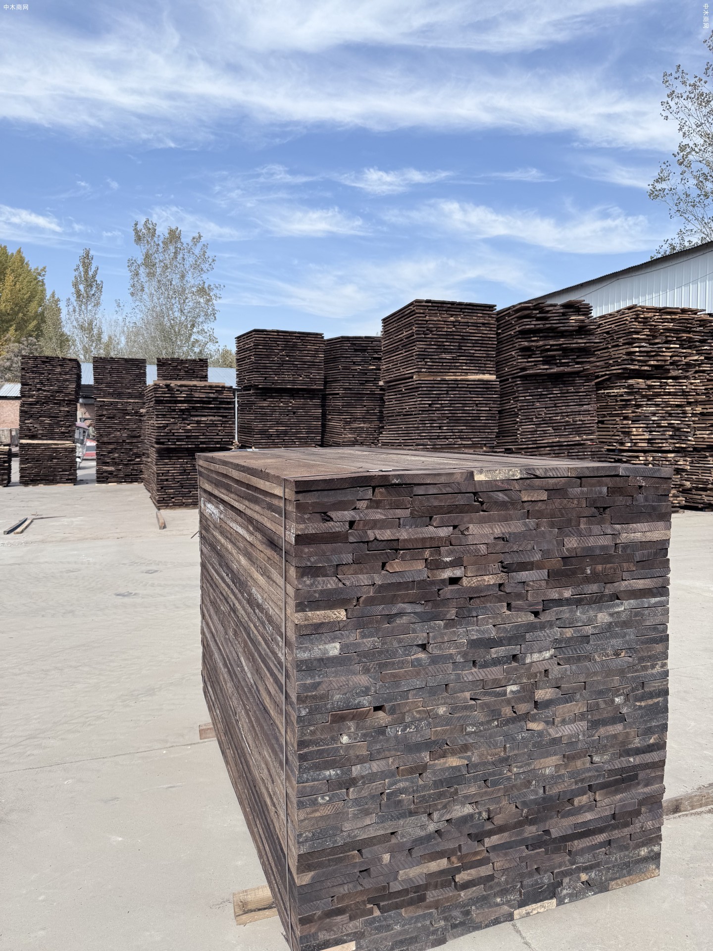 黑胡桃木属于什么档次的木材求购