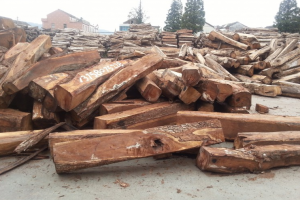 刺猬紫檀红木价格行情