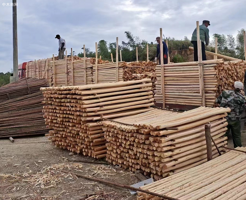 全国针叶原木库存总量较前一周增加0.75%