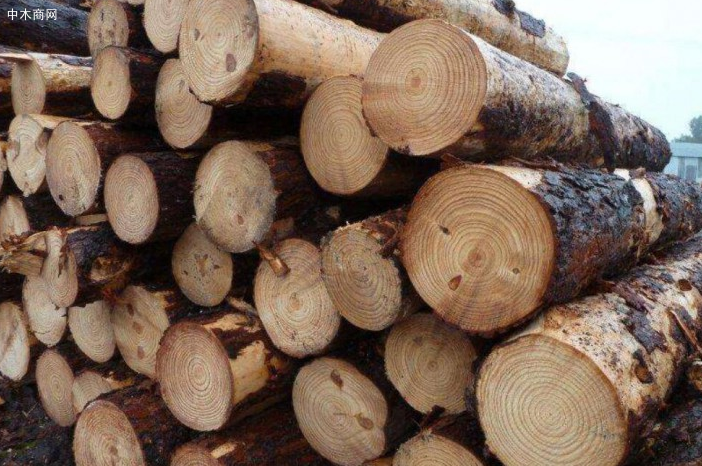 1月进口针叶原木散货船海运费环比下跌3.85%