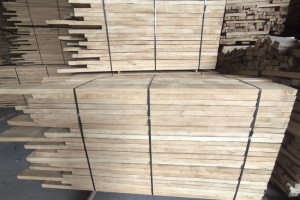 橡胶木价格行情最新消息