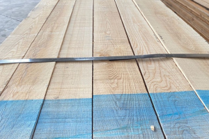 北美白蜡木板材价格行情分析