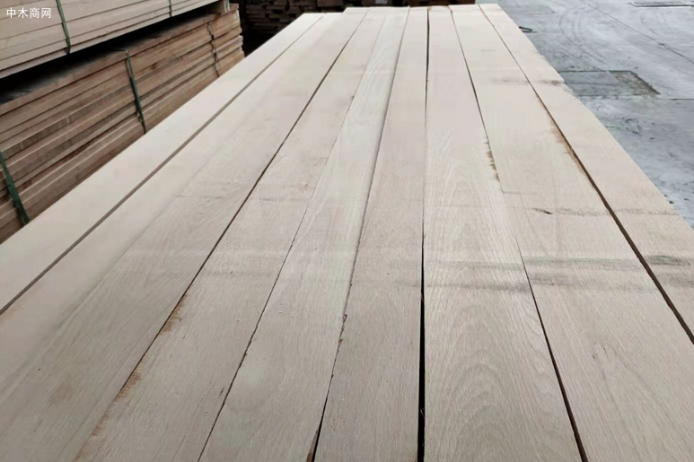 欧洲榉木板材价格行情最新消息