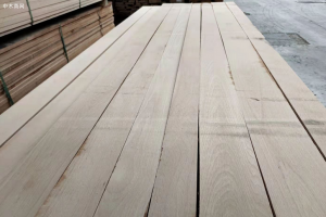 欧洲榉木板材价格行情最新消息