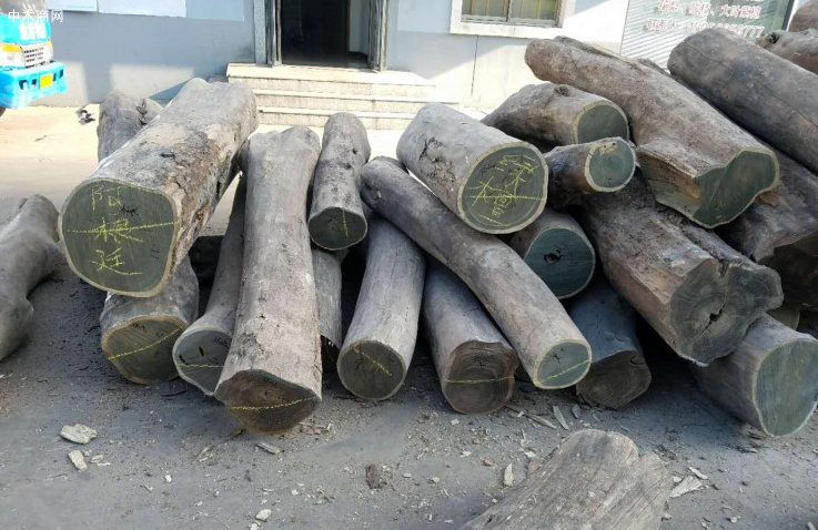 绿檀木材价格行情分析最新报价