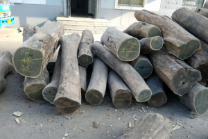 绿檀木材价格行情分析最新报价