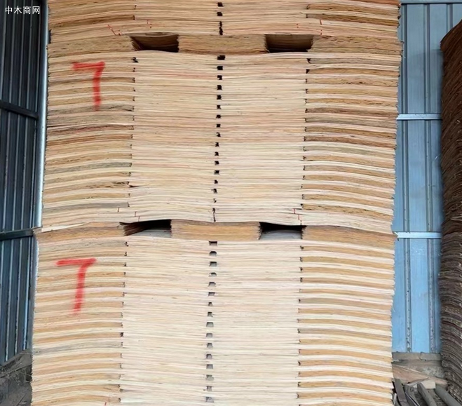 2026年桉木会涨价吗？