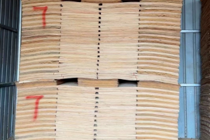 2026年桉木会涨价吗? 2026年桉木会涨价吗?