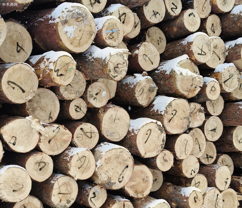 2025年12月木材行业采购经理指数运行情况