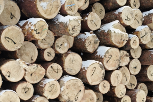 2025年12月木材行业采购经理指数运行情况 2025年12月木材行业采购经理指数运行情况