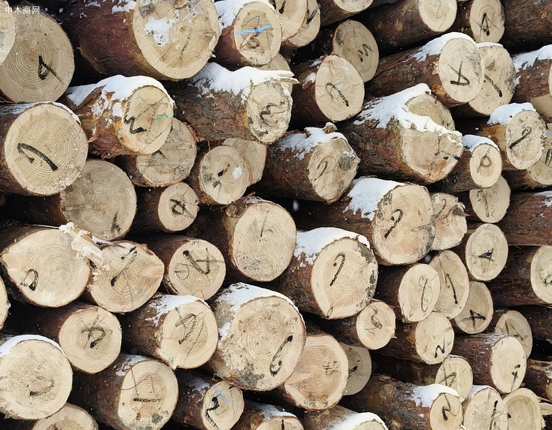 广西到2030年，全区木材加工业产值达4400亿元