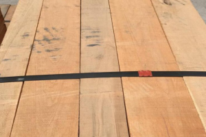 美国樱桃木板材价格行情最新消息