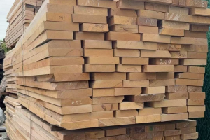 榉木板材价格行情走势分析