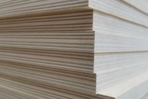 菏泽年产35万立方米海洋板项目春节后将开工