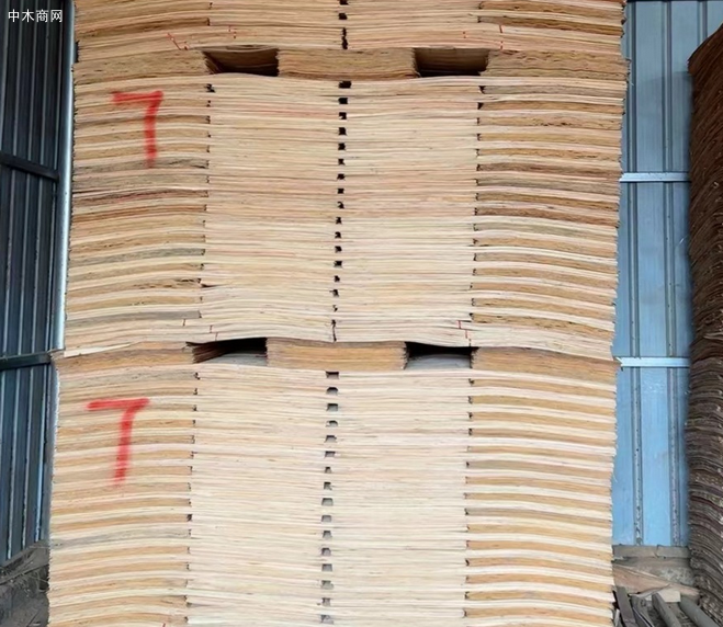 单板价格行情走势分析最新