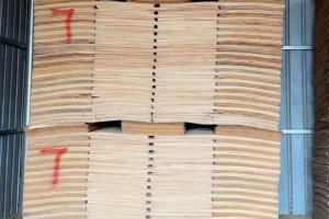 单板价格行情走势分析最新