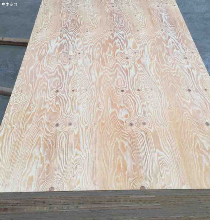 中国胶合板出口澳大利亚创新纪录