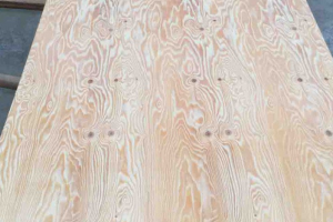 中国胶合板出口澳大利亚创新纪录