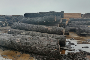 木材税增税延期：越南企业转型的契机