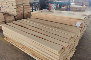 白蜡木材价格行情分析最新报价