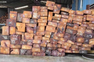 缅甸花梨价格行情分析最新消息