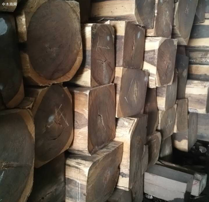 缅甸鸡翅木价格行情走势分析