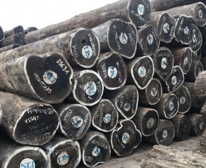 南美鸡翅木‌原木价格行情