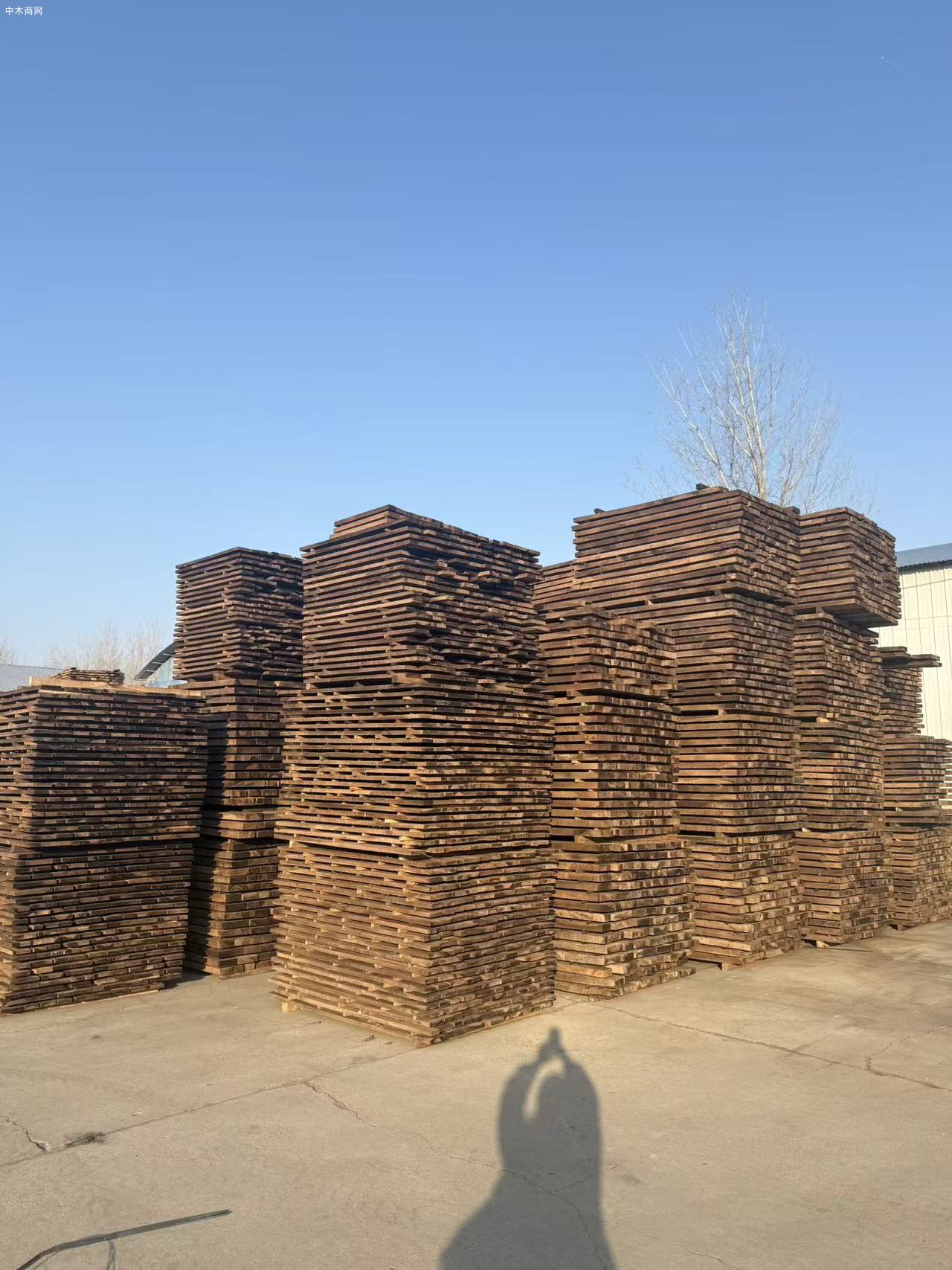 国产蒸煮黑胡桃烘干板材价格是多少钱