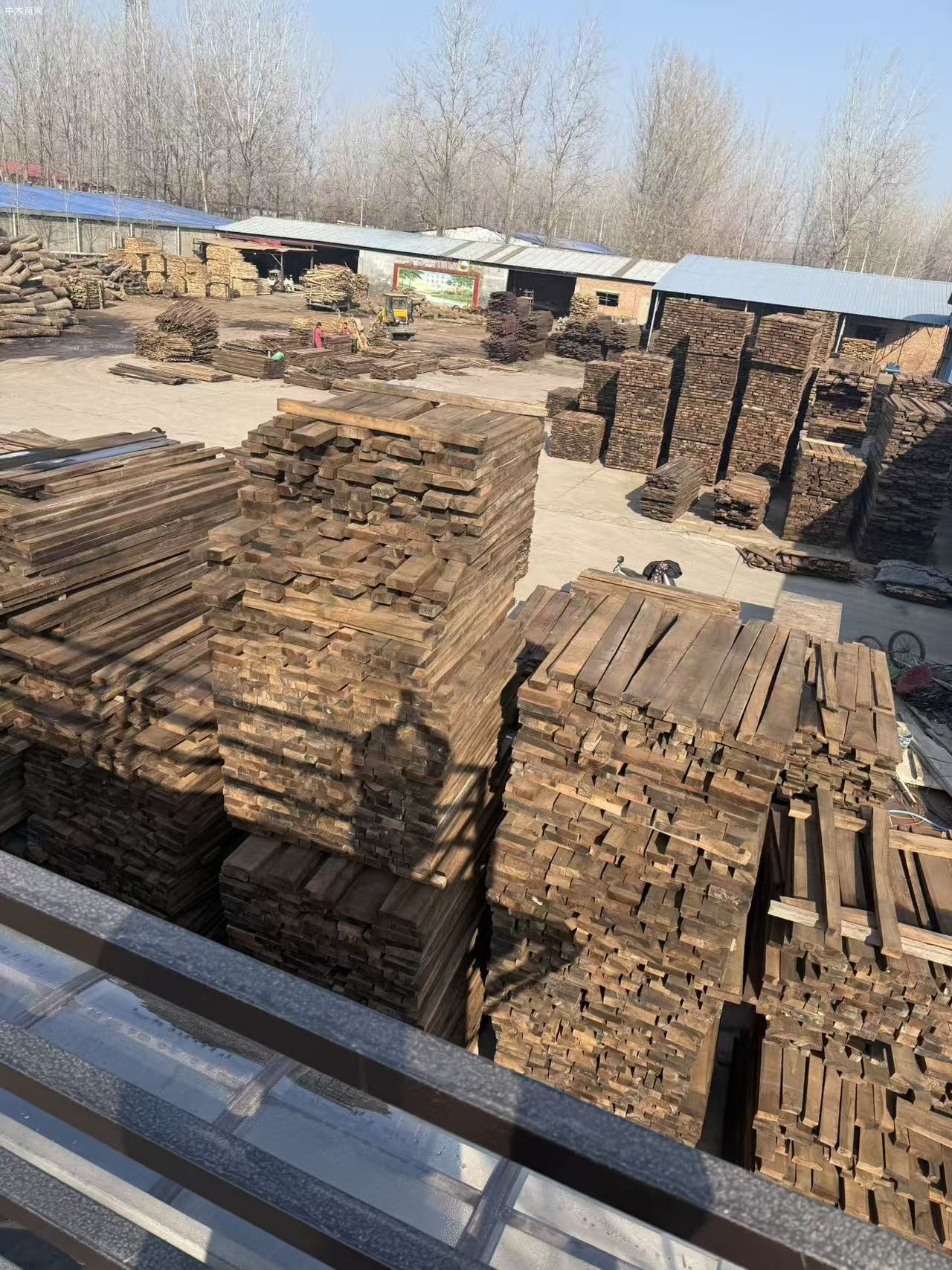 国产蒸煮黑胡桃烘干板材价格是多少钱品牌