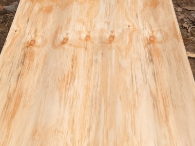 出售新西兰辐射松木面皮