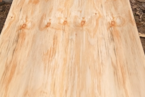 出售新西兰辐射松木面皮