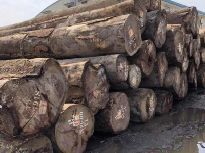 求购：非洲柚木原木图1