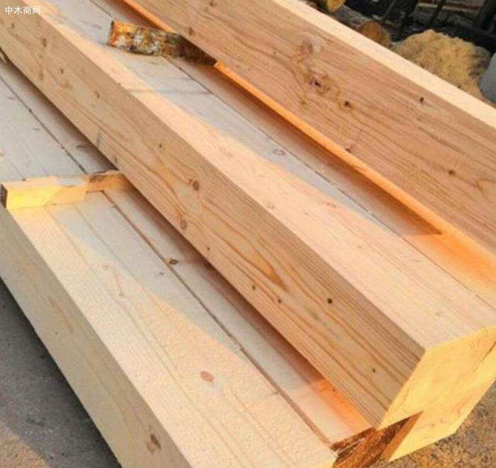 新西兰辐射松的优缺点