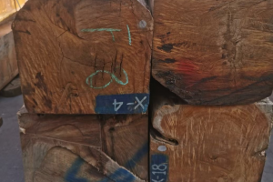 鸟足紫檀价格行情