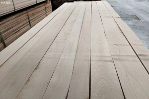 欧洲榉木板材价格行情最新消息