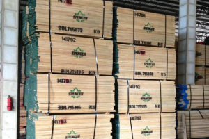 北美硬枫木板材价格行情表