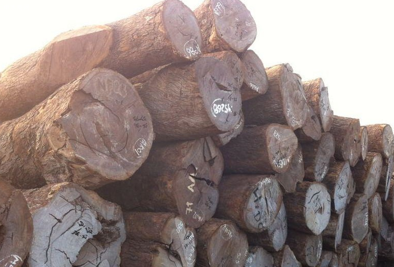 莫桑比克对400个集装箱原木出口立案调查