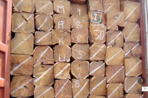 广东刺猬紫檀价格行情