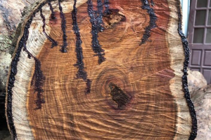 中国从越南进口木材暴增